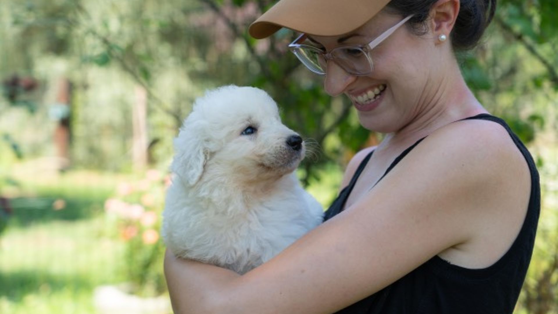 pastore maremmano genziana